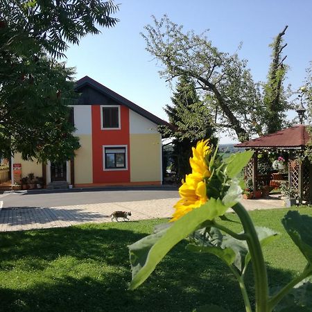 Отель Gastehaus Dobida Унтерлам Экстерьер фото
